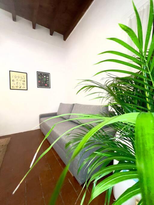 Casa Centro Firenze Wi Fi Aria Condizionata Netflix Apartment ภายนอก รูปภาพ