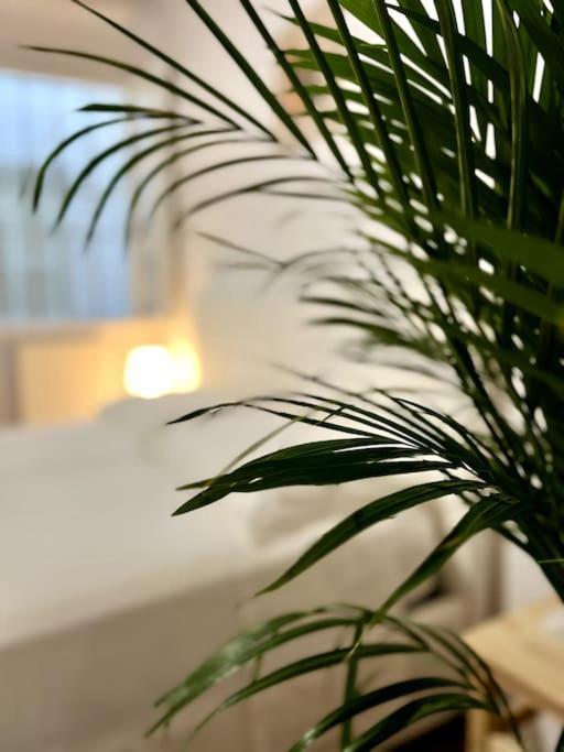Casa Centro Firenze Wi Fi Aria Condizionata Netflix Apartment ภายนอก รูปภาพ